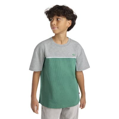Levi's® Boys' Short Sleeve Colorblock Mesh T-Shirt - Dark Green/Gray L