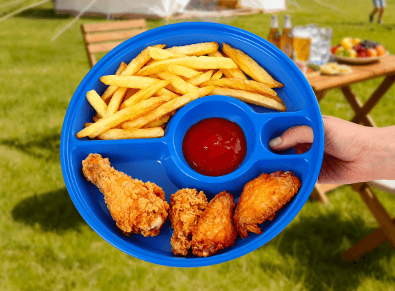 Ozark Trail 10" Picnic Tray & Camping Plate - 50% Off