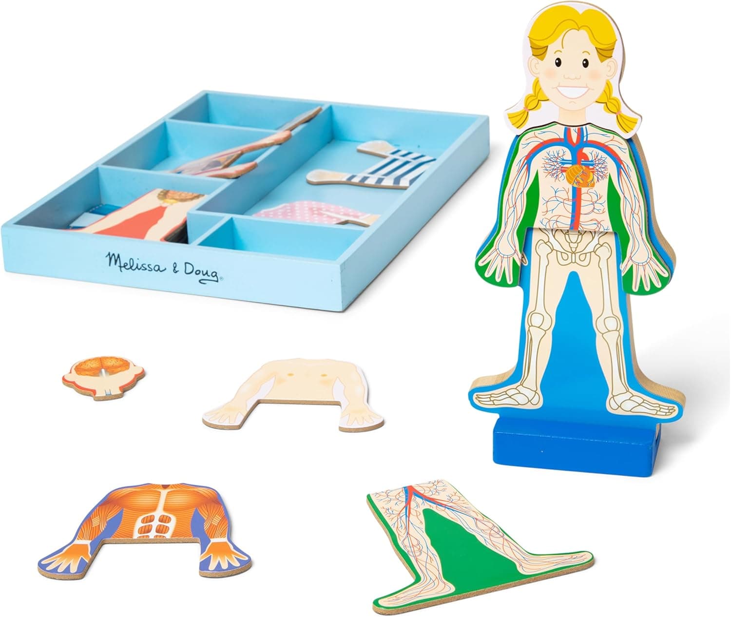 Melissa & Doug Anatomy Play Set - 24 Magnetic Pieces