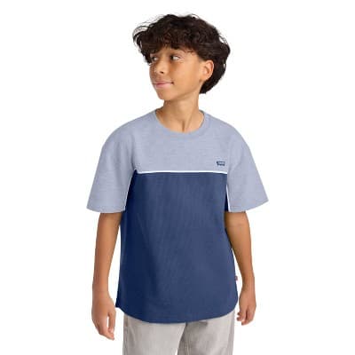 Levi's® Boys' Short Sleeve Colorblock Mesh T-Shirt - Navy Blue/Gray L