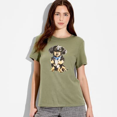 Women's Dachshund Dog Short Sleeve Graphic T-Shirt - Green M