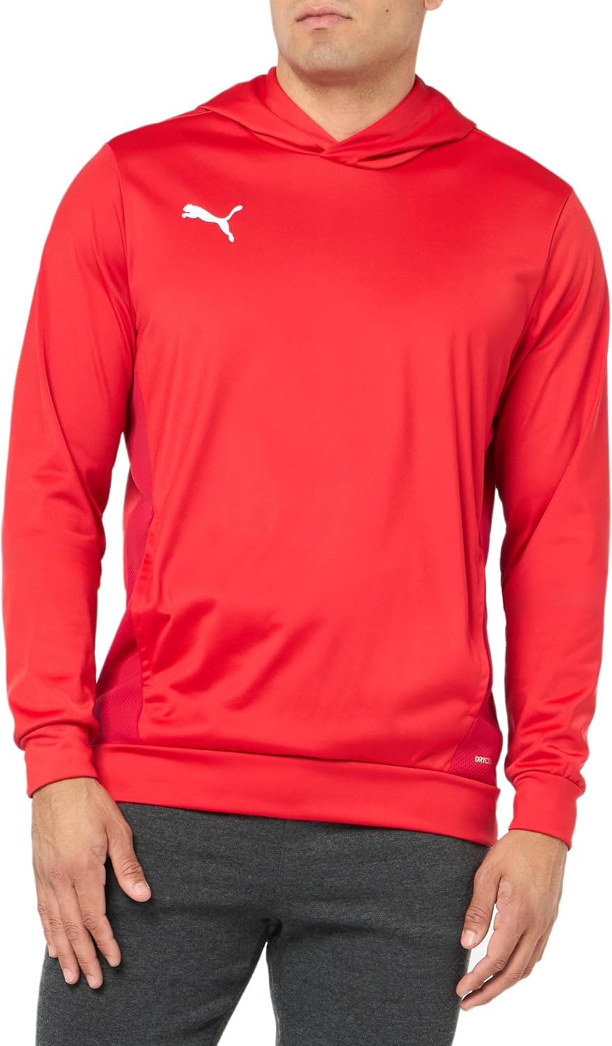 PUMA Men's teamGOAL Training Hoodie at 51% Off