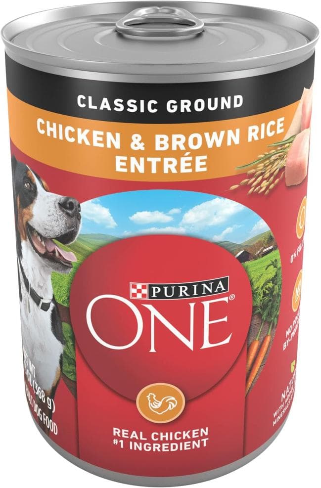 Purina ONE Classic Ground Adult Wet Dog Food - Nourish Your Pup