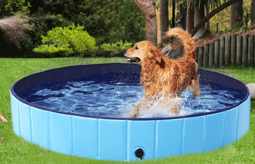 Foldable 63" Pet Pool by Alden Design - Keep Your Furry Friend Cool