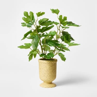 Fig Leaf Arrangement - Threshold™ designed with Studio McGee