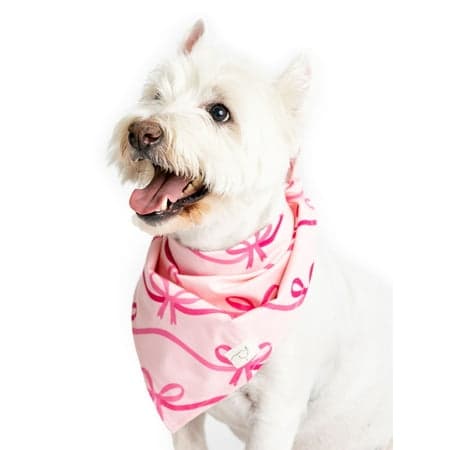 Paris Hilton x Monica + Andy Organic Cotton Pet Bandana