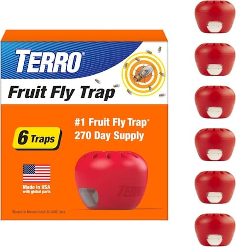 Terro Fruit Fly Traps 6-Pack with 18% Off on Amazon