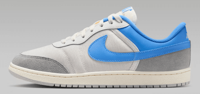 Step Up Your Style with Nike Air Jordan Skyline Low Shoes