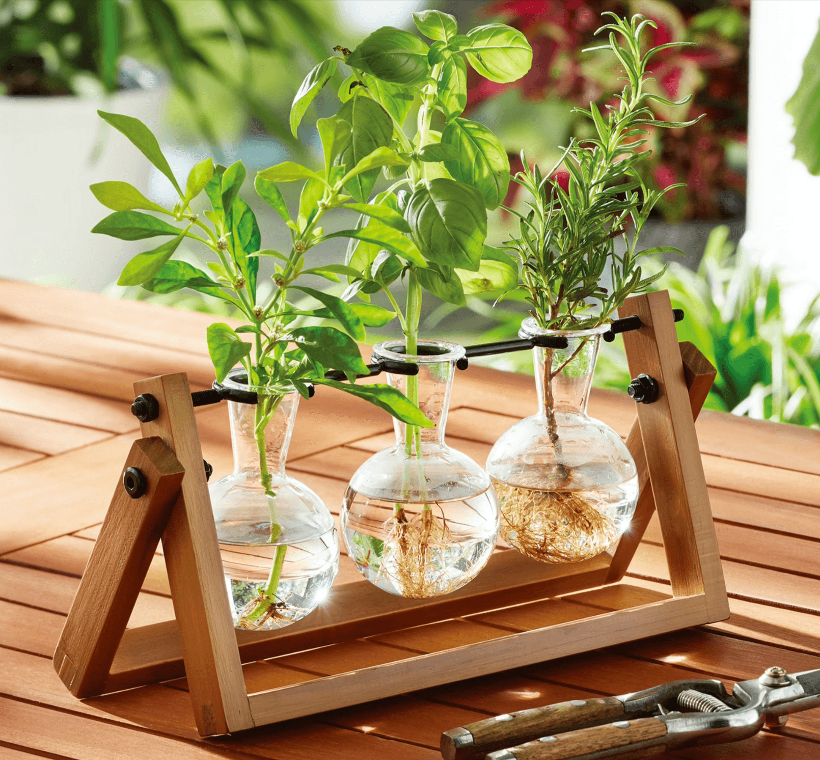 25% Off Better Homes & Gardens Propagation Vase Station Set