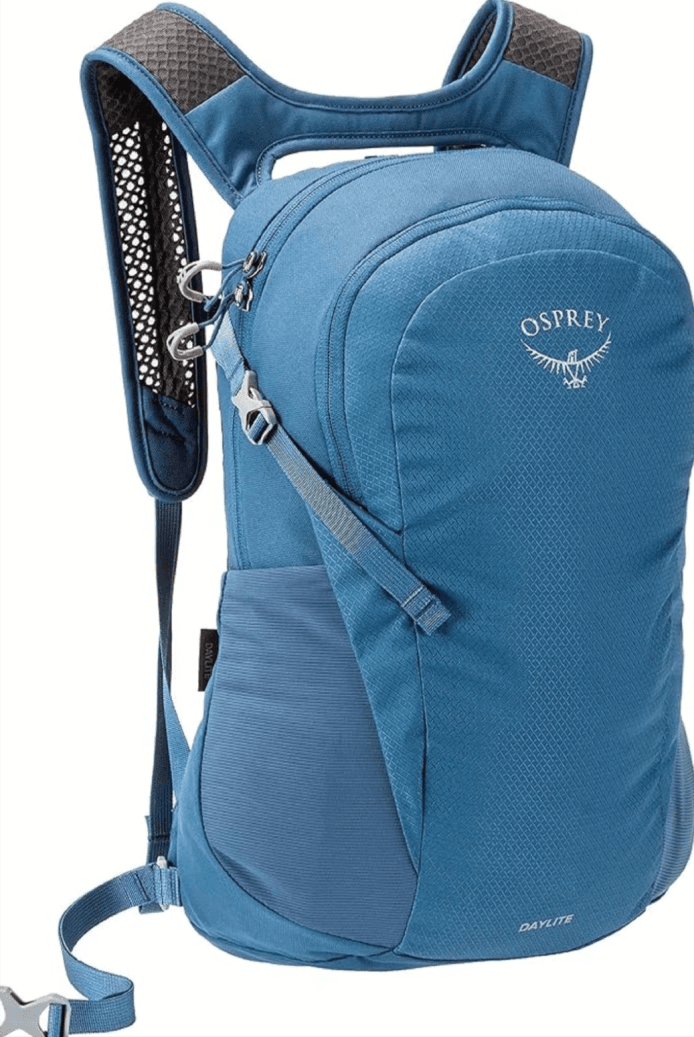 Osprey Daylite Commuter Backpack eBay