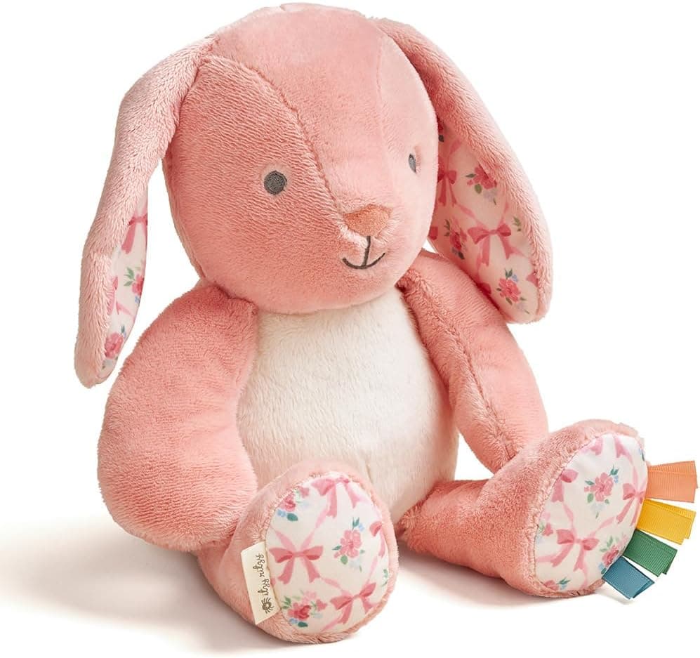 Cuddle Up with the Itzy Ritzy Plush Bunny Toy