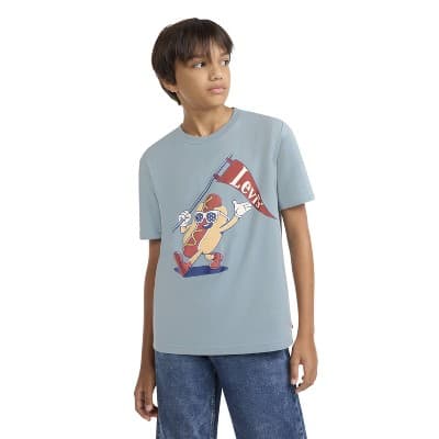Levi's® Boys' Short Sleeve Parading Hot Dog T-Shirt - Gray L