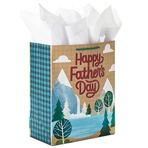 Hallmark 13-Inch Large Father's Day Gift Bag - 17% Off