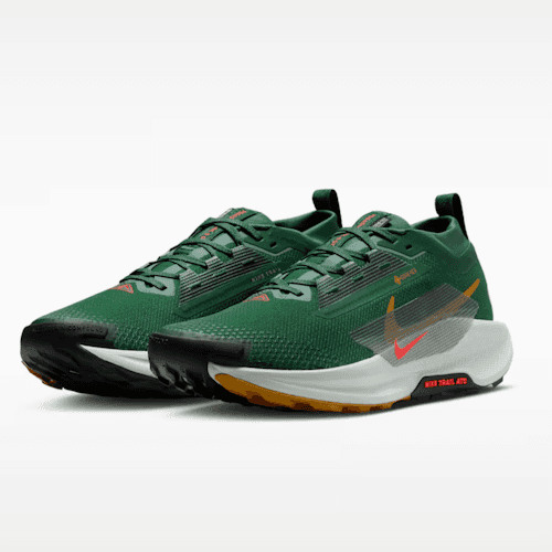 Conquer the Trail with Nike Men's Pegasus Trail 5 GORE-TEX Shoes