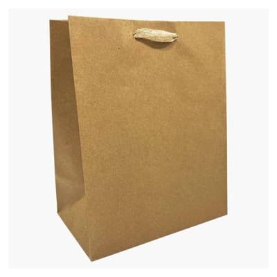 Bows and Sparkles Small Gift Bag Kraft Natural