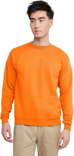 Hanes Men's EcoSmart Fleece Crewneck Sweatshirt