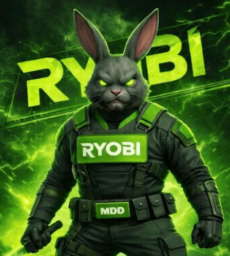 Power Up Your DIY Projects with Ryobi Tools on eBay