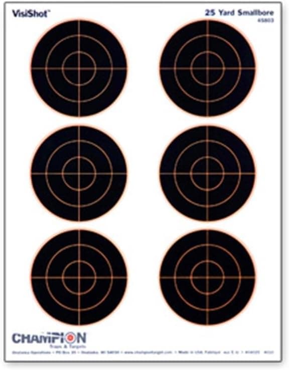Precision Shooting with Champion VisiShot Bulls-Eye Targets