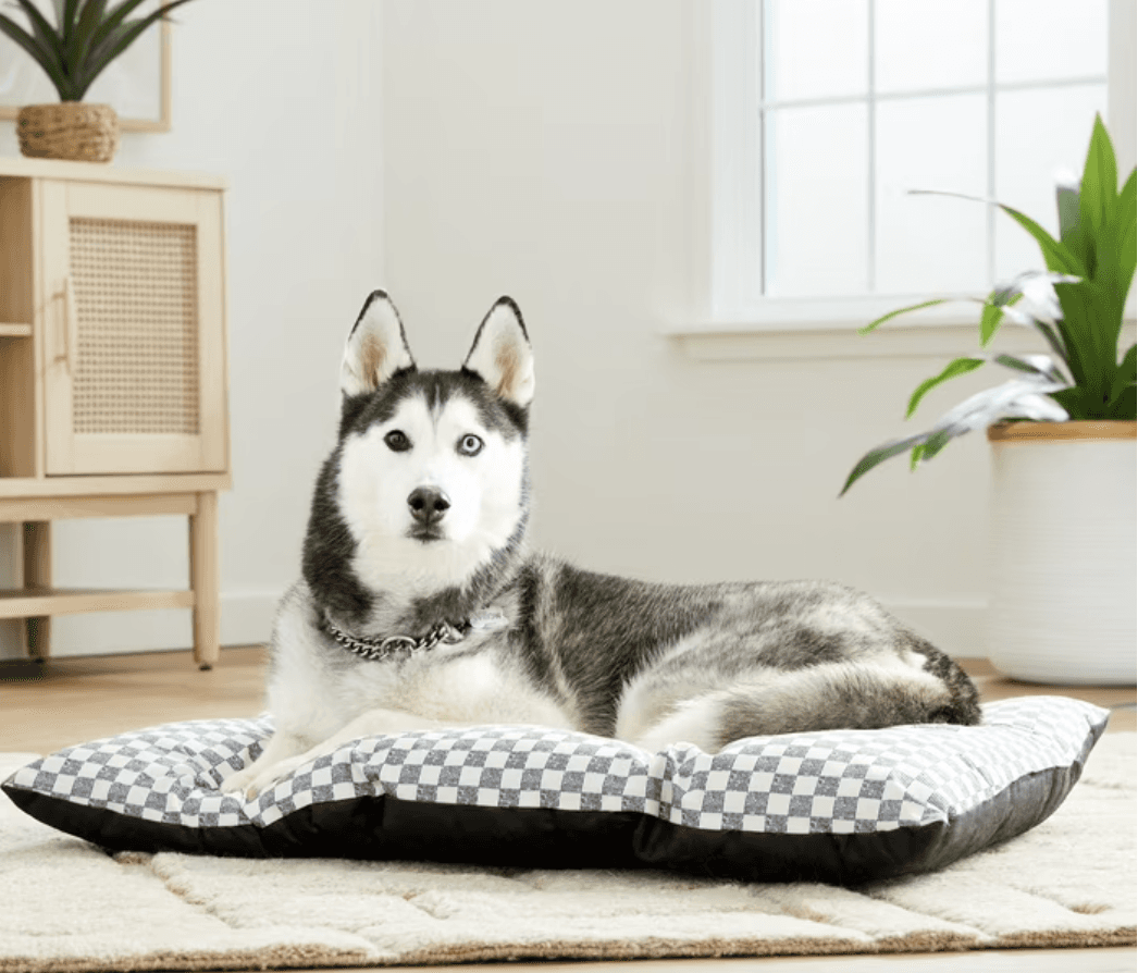 Cozy Canine Comfort: Vibrant Life Tufted Pillow Dog Bed (20% Off)
