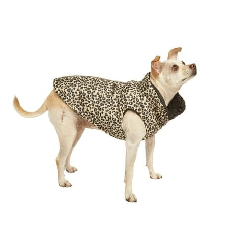 CANINI by Baguette Leopard Pawffer Jacket, Small