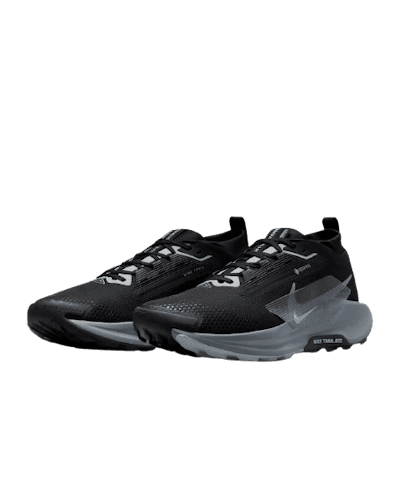 Nike Pegasus Trail 5 Gore-Tex Waterproof Trail Shoes