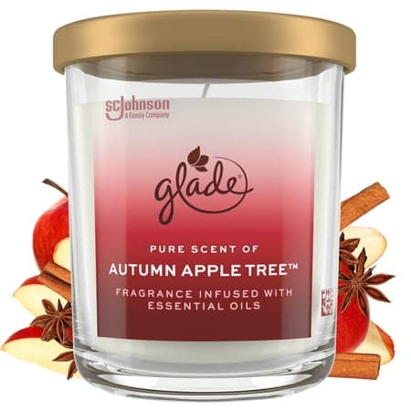 Glade Large Jar Scented Candle, Autumn Apple Tree, 16 oz, Burning time: Up to 85 hours