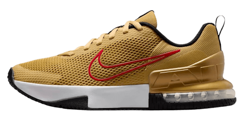 Nike Air Max Alpha Trainer 6: Limited Sizes on Sale