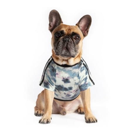 Coco + Rebel Tie-Dye Athletic Dog T-Shirt