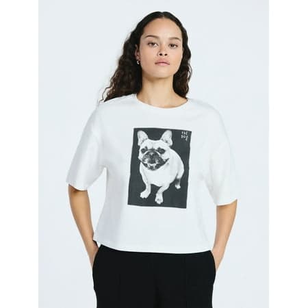 Scoop Women’s and Women's Plus Cotton Cropped Tee with Short Sleeves, Sizes XS-4X