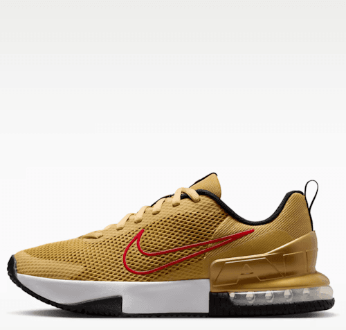 Nike Men's Air Max Alpha Trainer 6 Shoes