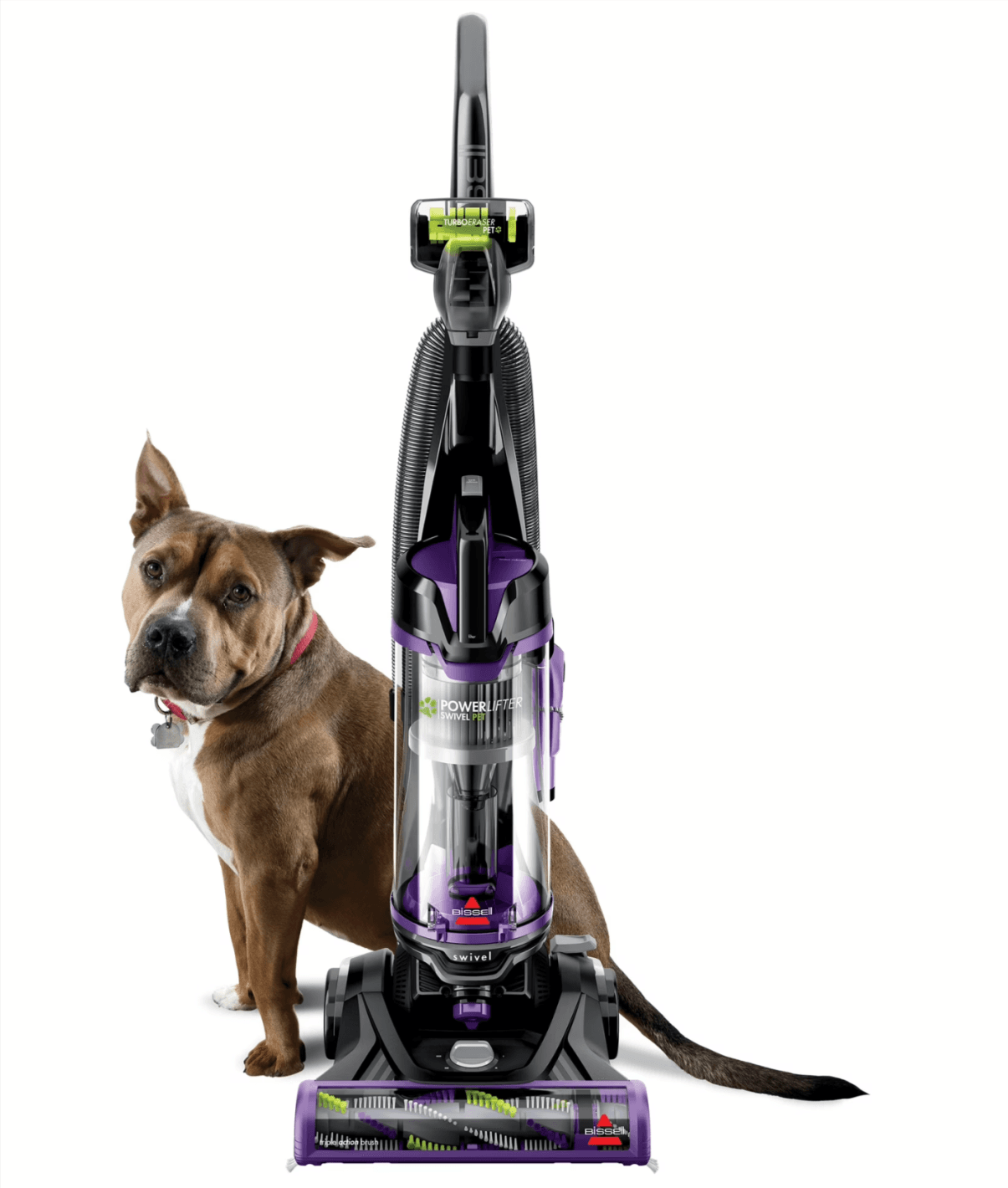 Powerful Suction for Pet Messes: BISSELL PowerLifter Swivel Pet Vacuum