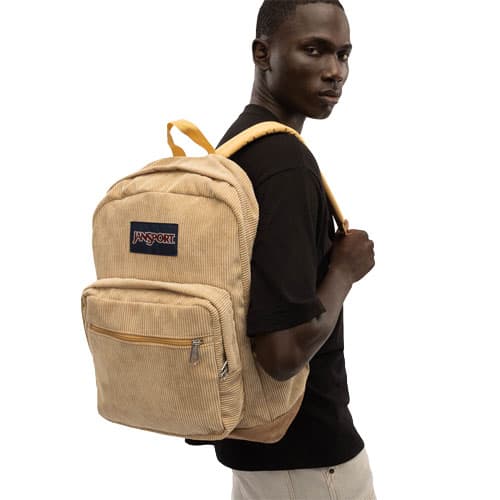 JanSport Large Backpacks $20