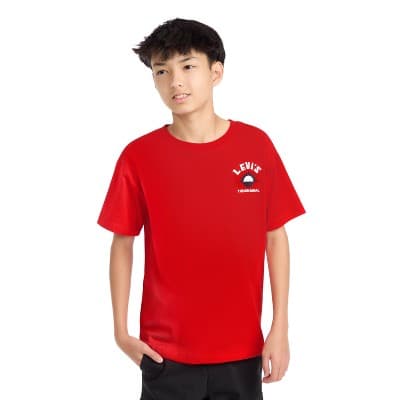 Levi's® Boys' Short Sleeve Waterfront View Graphic T-Shirt - Red L
