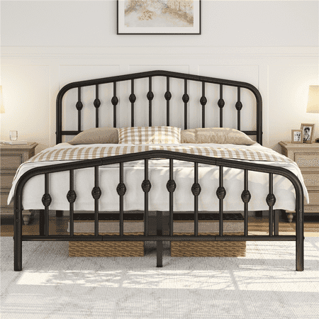Renwick Modern Metal Platform Bed with Arched Headboard and Footboard, Adult,Queen, Black
