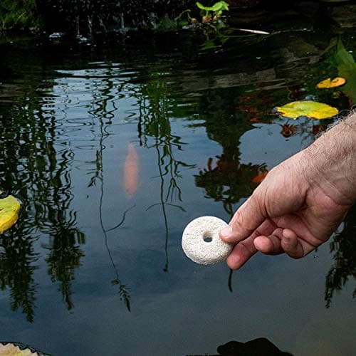 Protect Your Outdoor Space with Discounted Mosquito Dunks on Amazon