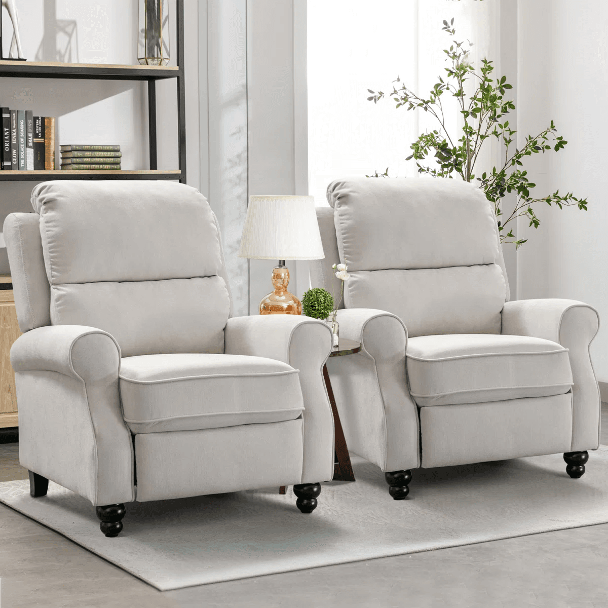 Get 2 Recliners for $450 with Free Shipping