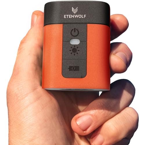 Portable Air Pump by Liene for $23