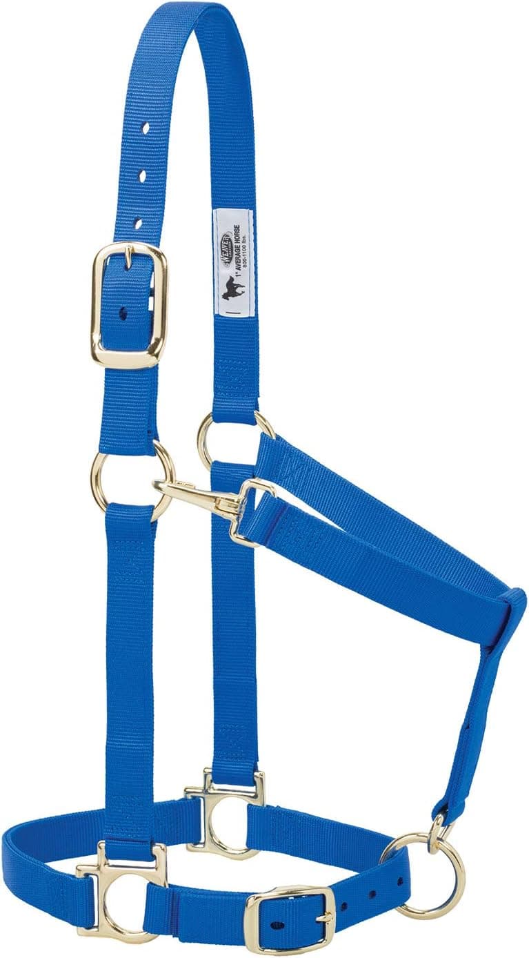 Adjustable Nylon Halter for Horses - Blue, 1"