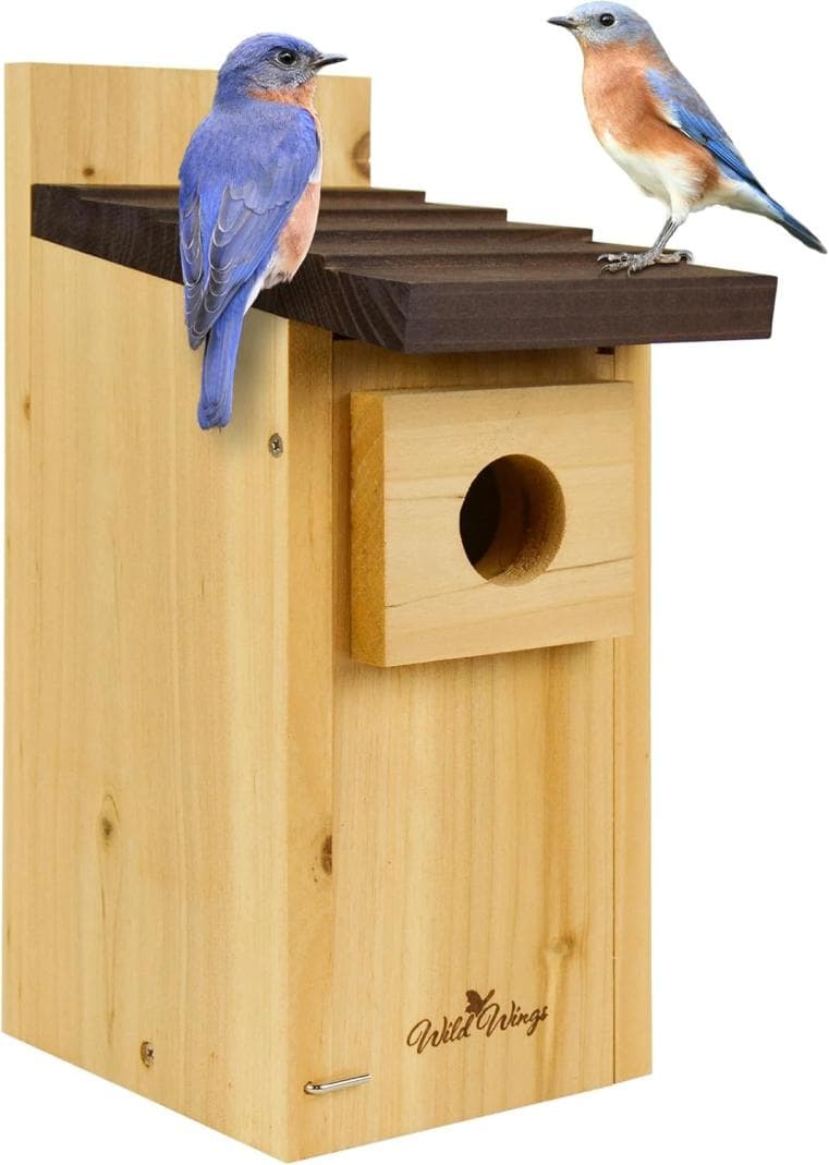 Wild Wings Cedar Blue Bird House - 50% Off