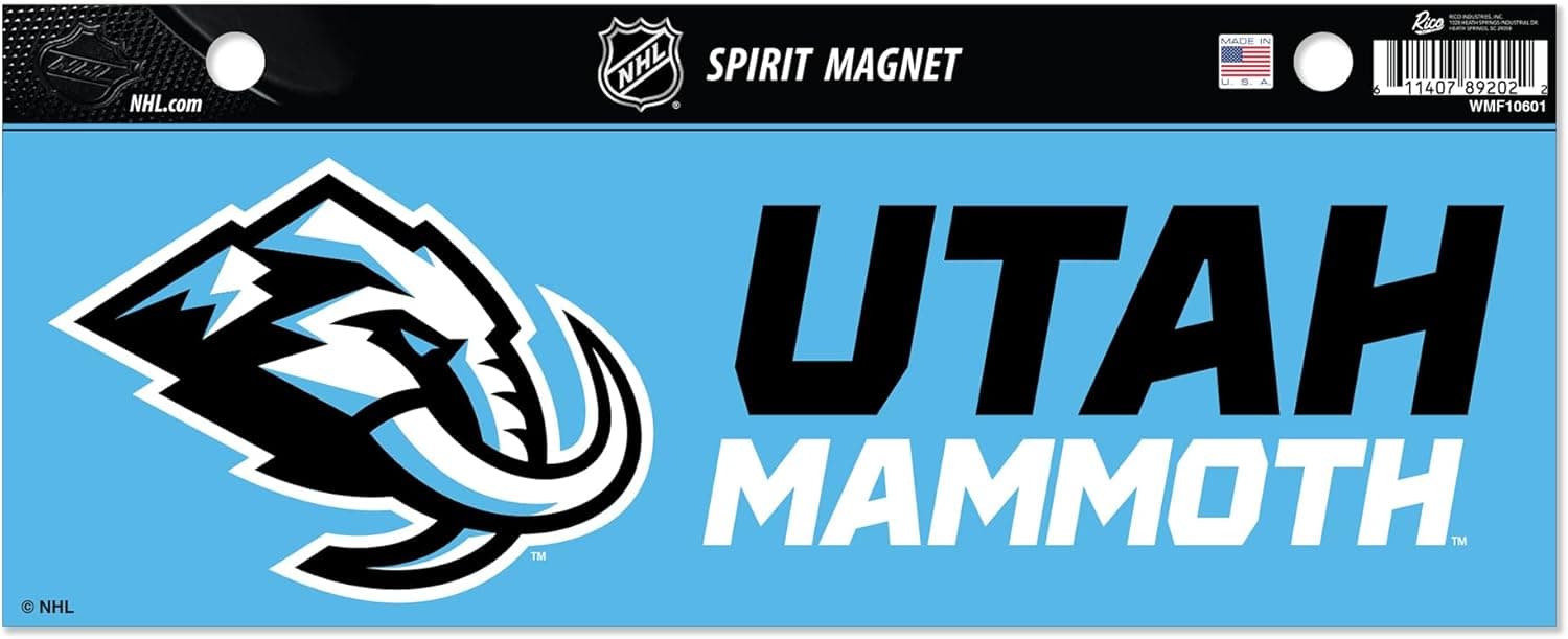 Add Team Spirit to Your Home with NHL Magnet