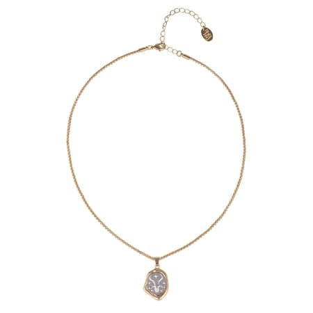 Time and Tru Goldtone Silvertone Reversible Pendant "Capricorn" Necklace